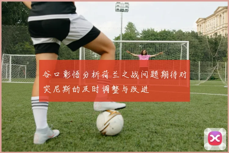 谷口彰悟分析荷兰之战问题期待对突尼斯的及时调整与改进